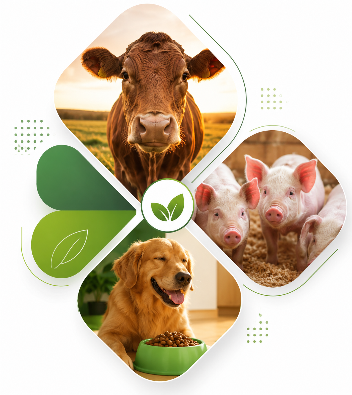 Animals enjoying flavored feed